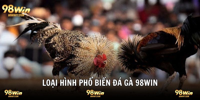 4 loại hình đá gà phổ biến nhất tại 98WIN 