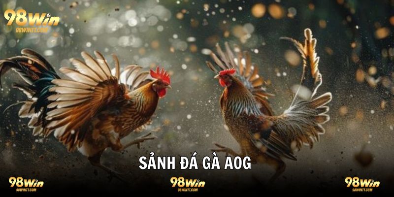 Sảnh Đá Gà AOG Trải Nghiệm 1-0-2 Tại Thiên Đường 98WIN